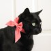 Lady Cat Bow - Choose Your Own Satin