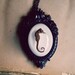 Seahorse in Resin Bubble Black Victorian Frame Necklace