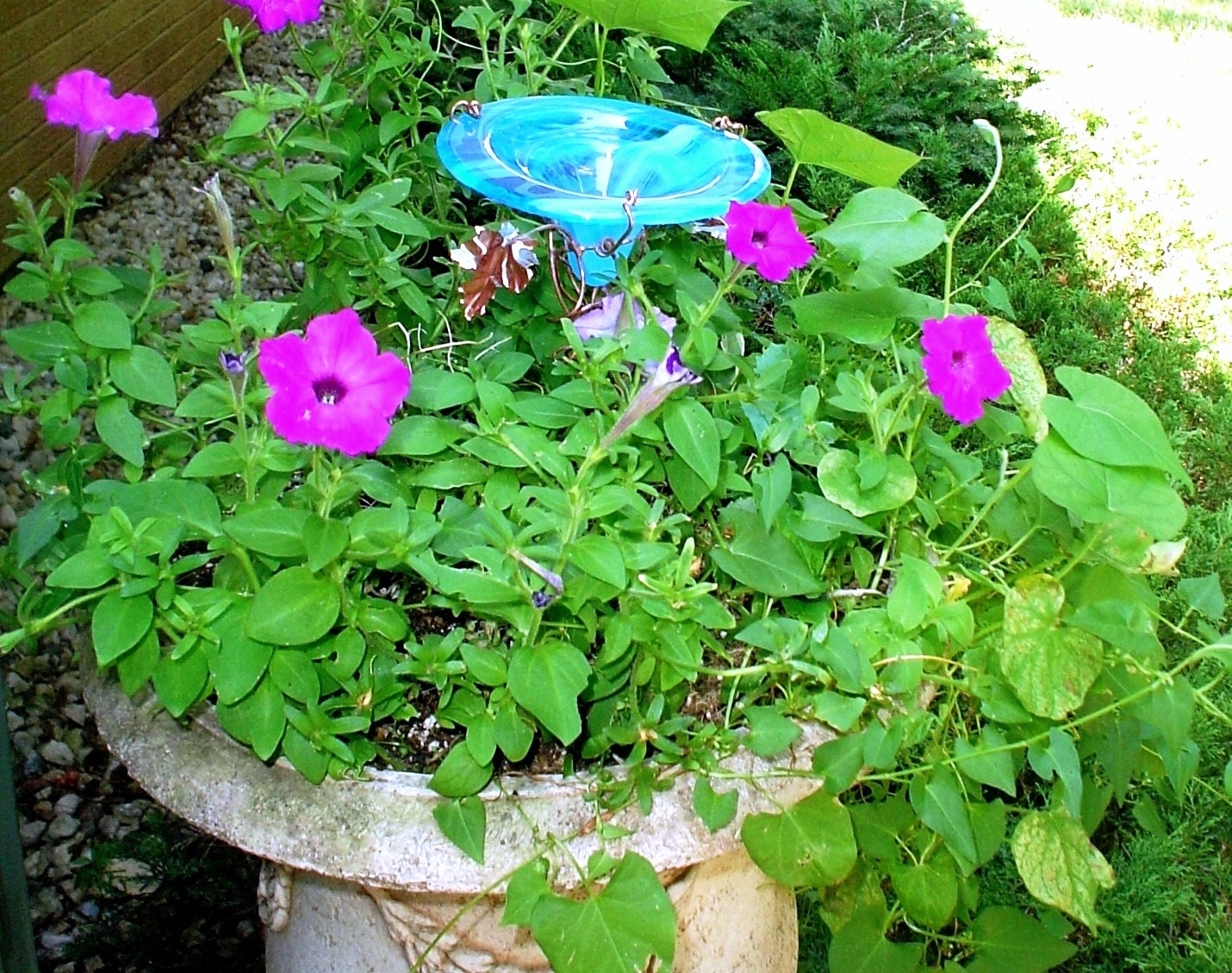 CONTAINER GARDENING, Butterfly Feeder, stained glass,  AQUA, copper, garden stake, Garden Art