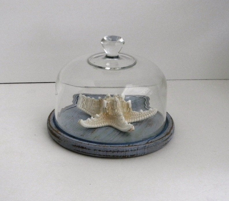 Glass Cloche Display Shabby and Chic Wood Base - French Country Cottage Chic Decor