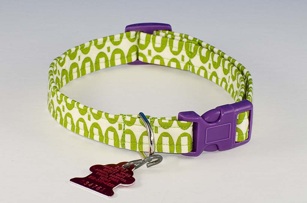 Lime Green and Purple - Dog Collar - Adjustable