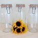 Reserved for Donna - Canning Jars - Niveau De Remplissage France Sealed Canning Jars - Set of 3 French Country Farmhouse