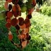 garland red wool eco-friendly party decor waldorf decoration