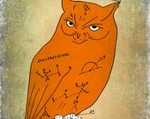 Orange owl  art print poster illustration 13x19