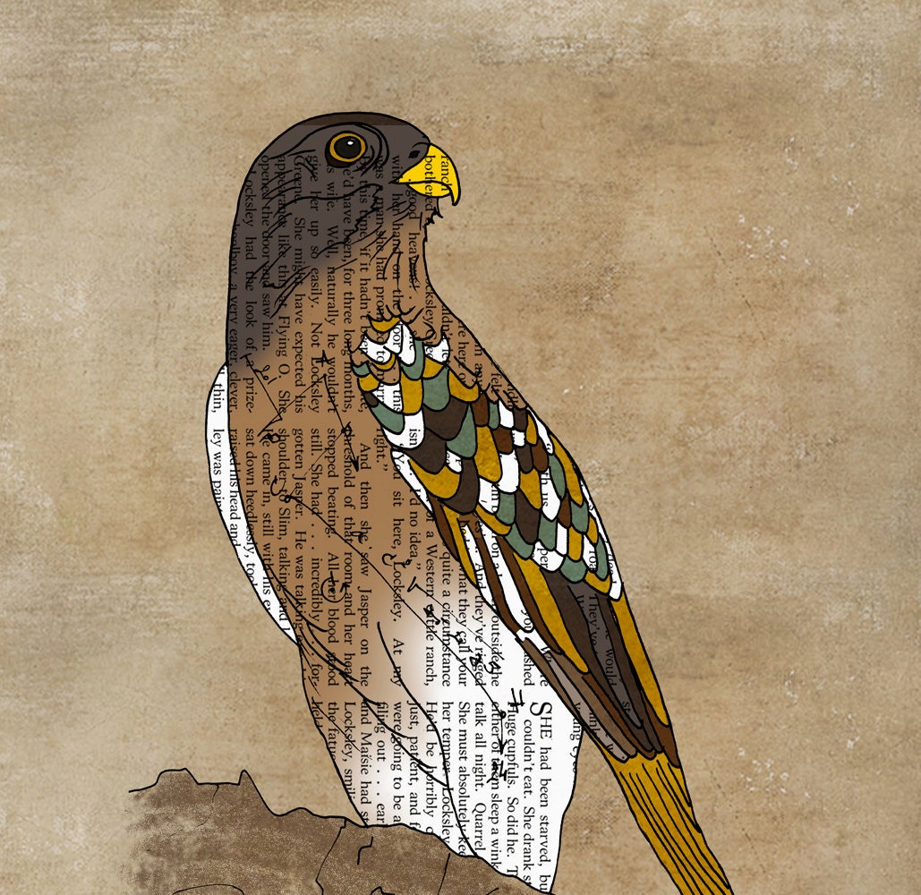Hawk art print poster illustration 13x19 - OrangeOptimist