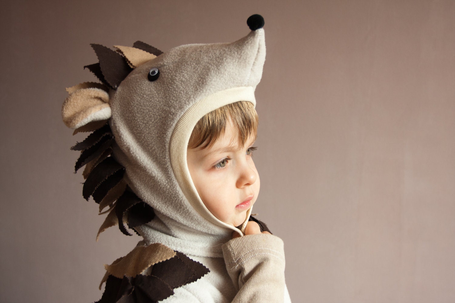 Fairy Tale Hedgehog Hat, Halloween Outfit, tbteam