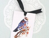 BOOKMARK - Hawk Design (7x10 cm, with ribbon)