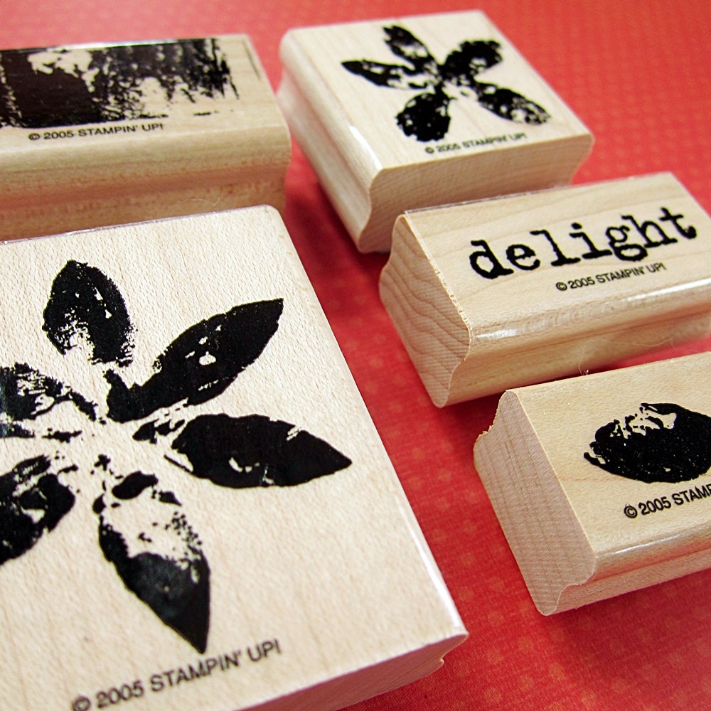 Paint Prints Rubber Wood Mounted Stamp Set of 6 - Flowers, Leaf, Delight - Stampin' Up Retired