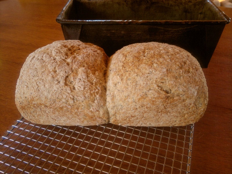 Chia & Poppy Seed Bread (gluten free and dairy free)
