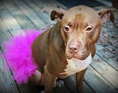 Dog Tutu Made to Order