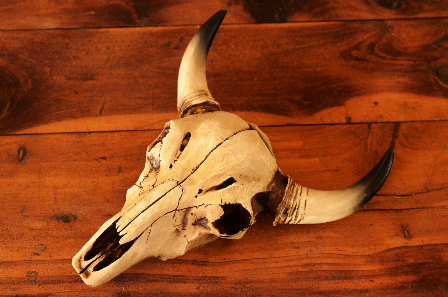 NEW Bull Skull Poly-Resin Wall Hanging