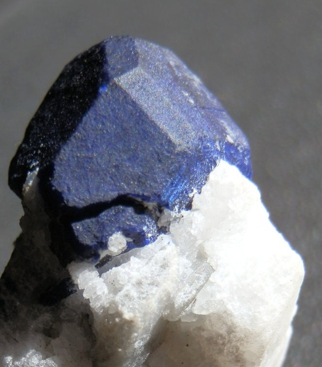 Lapis Lazuli. Lazurite on marble crystal display mineral specimen. 31mm tall. Very rare specimen.