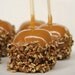 Gourmet Caramel Apple with Crushed Pecans