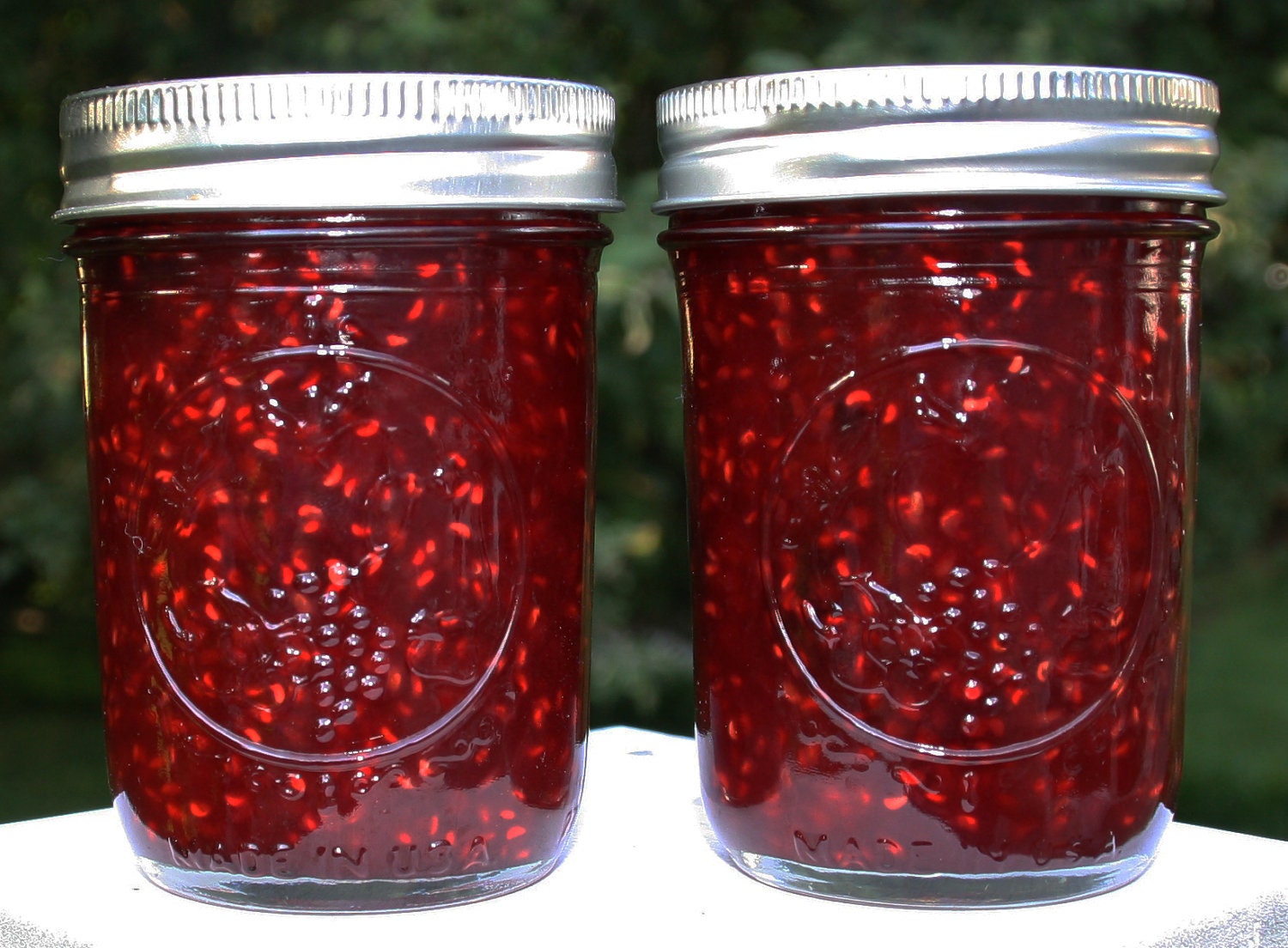 Organic Raspberry Jam - 8 oz.