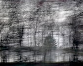 Abstract Art Photography - tree water motion surreal wall art decor "Full Motion Forest" / custom sizes and canvas wraps available