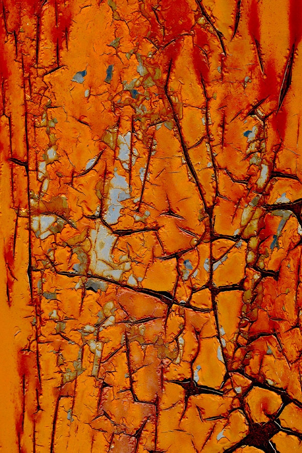 Abstract Art Photography Print - decay cracked paint weathered wall art decor "Deranged" / custom sizes and canvas wraps available