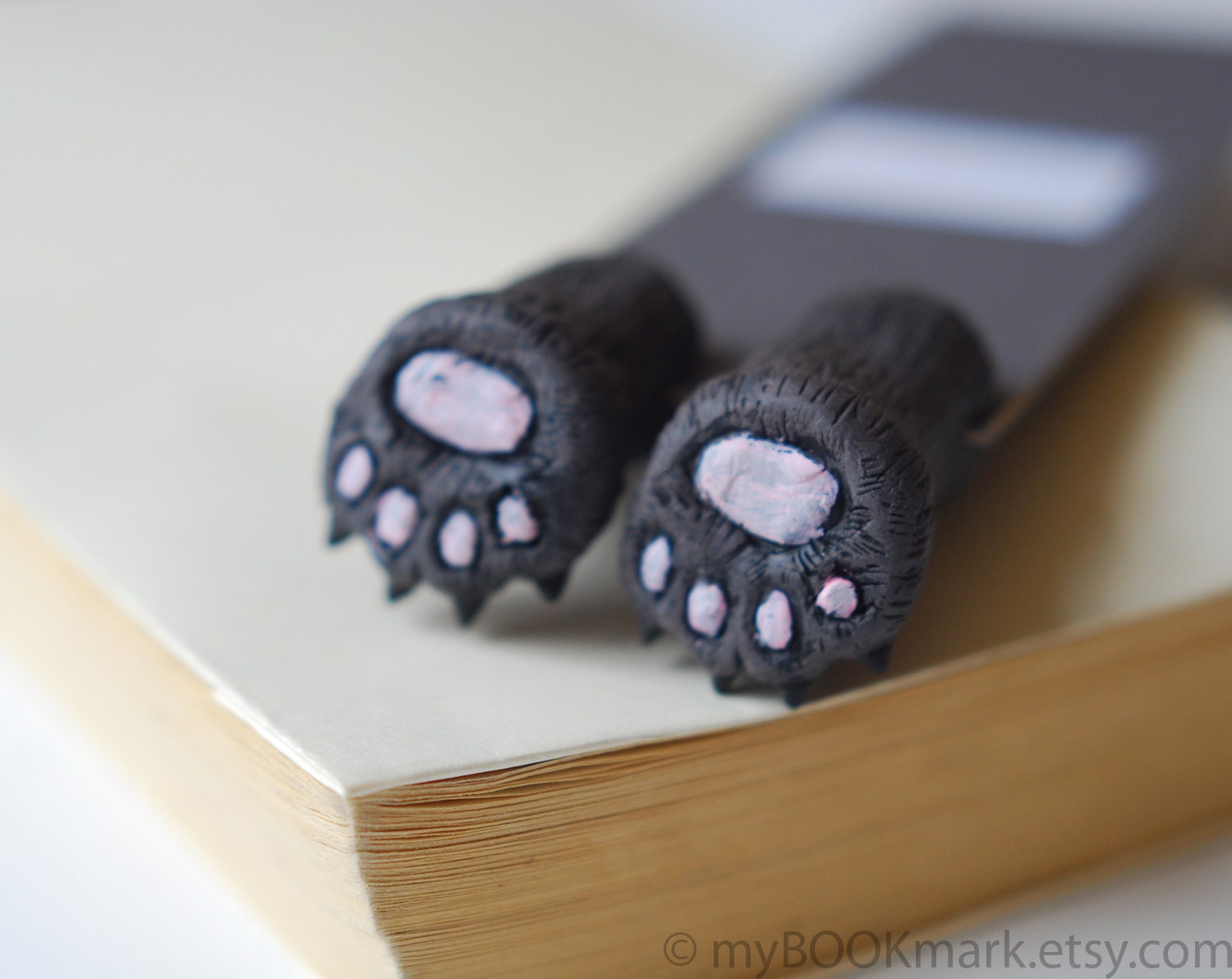 Cat paws .Bear paws in the book. Funny gift. Cat in book for child, children, kids, for her, all, hostess.