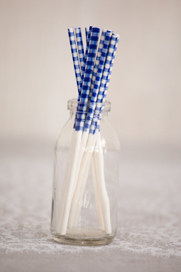 Bright Blue Gingham Treat Sticks