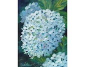 White Hydrangea Flowers Original Floral Oil Painting on Panel Janet Zeh 5x7