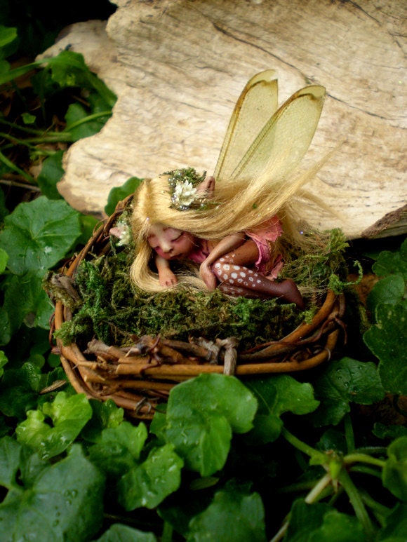 Tiny Woodland Forest Fairy in Birds Nest by Celia Anne Harris OOAK - Made to Order