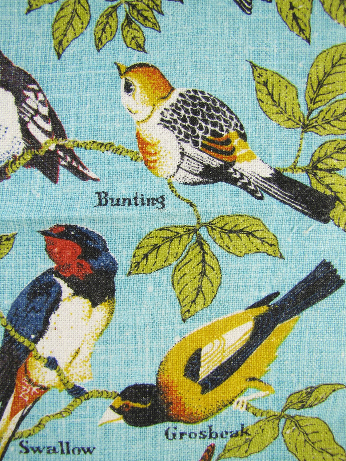 Vintage Linen Tea Towel- Wild Birds on Robin Egg Blue Background
