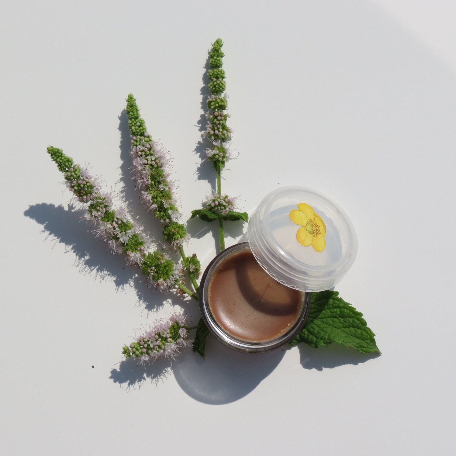 Chocolate Mint lip balm with honey ORGANIC