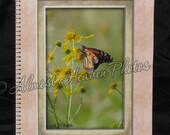 Butterfly Large Notebook Journal