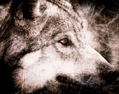 Wolf Wall Art - Wildlife Monochrome - Sepia Textured Home Decor - Fine Art Animal Photography Print