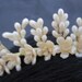 Beautiful 1920s/30s Wax Flowers Bridal Headpiece