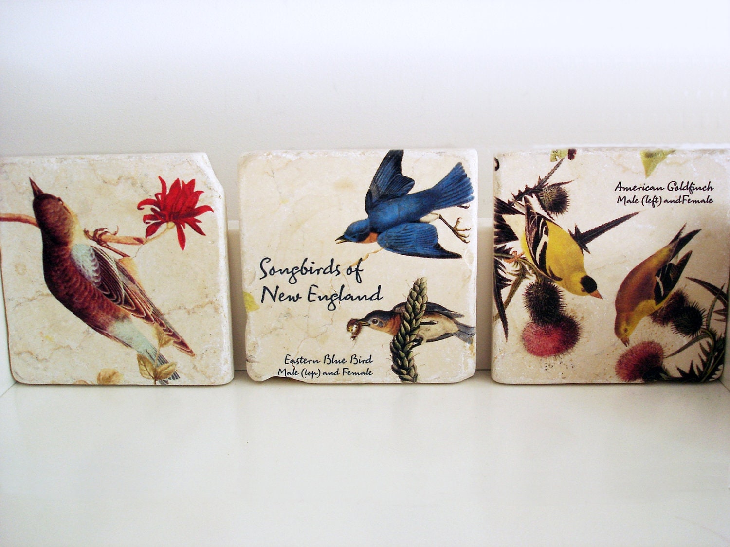 Rustic Botticino marble coasters/ Songbirds of New England/ set of 3/ light beige marble with colorful birds