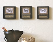 Butterfly Moth Black Gold  Set of Three Original Art Decoupage on Wood Blocks