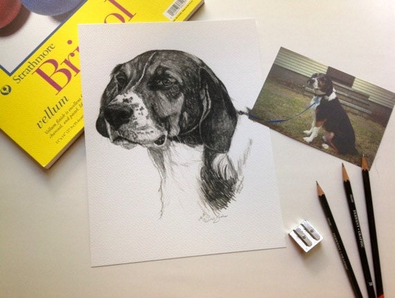 Custom Dog or Cat or Any Pet Portrait (Head Study) in Graphite by Deb Gardner