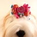 Stacked Dog Hair Bow - Boutique Dog Bow - Bubble Gum Polka Dots, Hot Pink and Orange Dog Bow