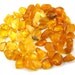 Natural Baltic Amber Freeform beads without hole - 60 pcs - citrine, butter, milky, light cognac - to your own idea
