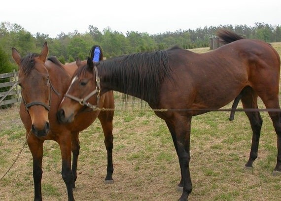 sinnicolaul mare single girls Search the history of over 327 billion web pages on the internet. sinnicolaul mare single girls Search the history of over 327 billion web pages on the internet.