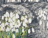 Snowdrops, flower print of snowdrops in spring, wall decor