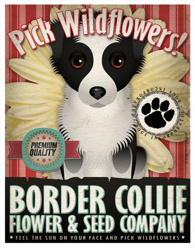 Dogs and Flowers Art Print - Border Collie Art Print  11 x 14