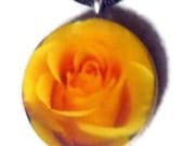 Yellow Rose of Texas Pendant Necklace Pendant - sherrollsdesigns