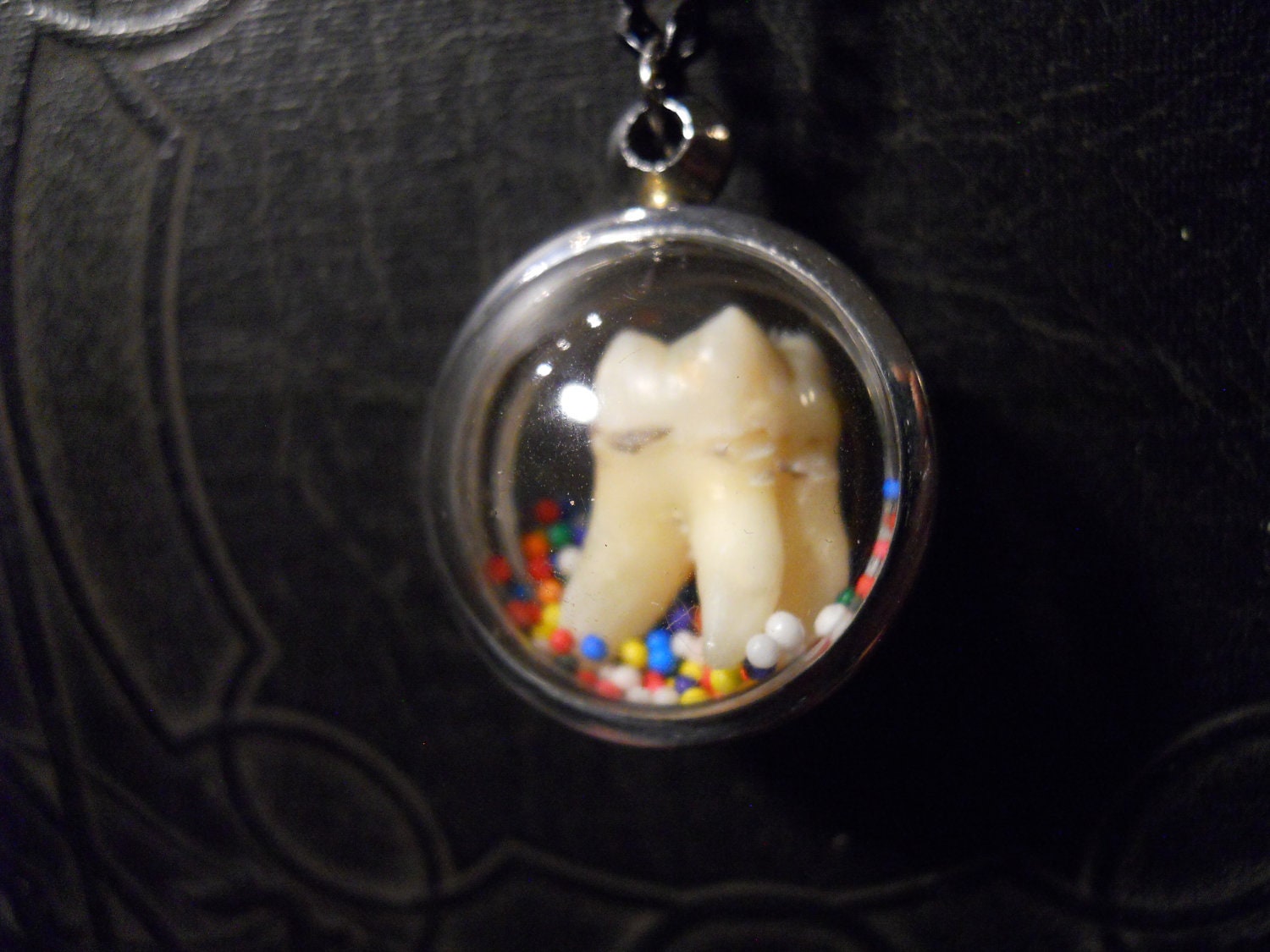 Sweet Tooth Real Human Tooth with Cavity in Candy Sprinkle Necklace Bubble