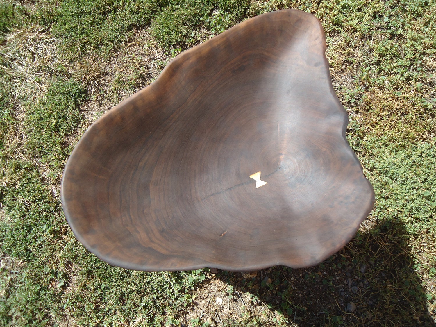 Large and walnut bowl, hand carved in original shape of the tree it came from.