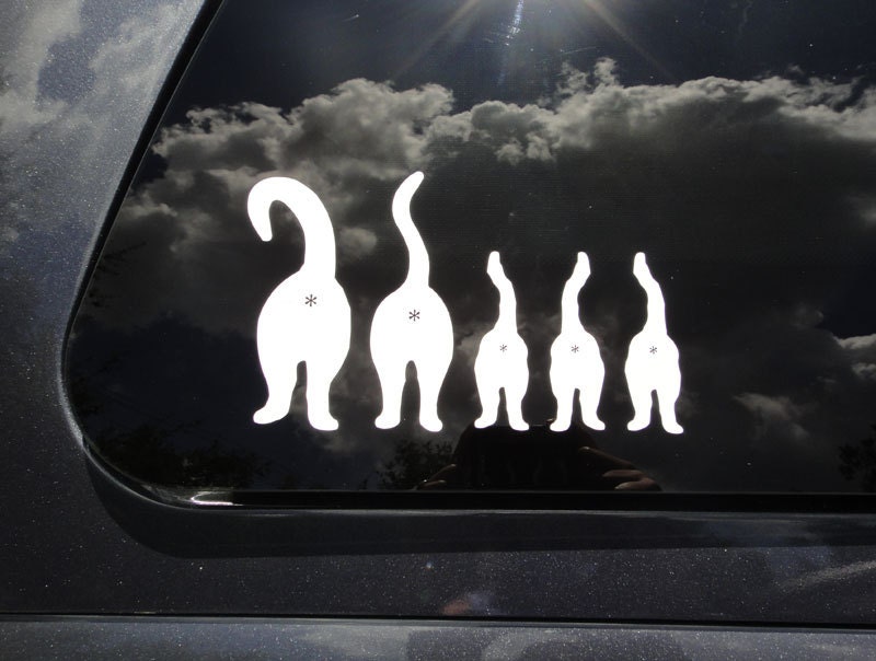 Unique "Cat Family" car stickers - 3 Kittens