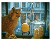 Cabinet of Curiosity Cat 5x7 - Fine Art Photograph - Retro Egg, Coral, Natural History, Science, Unusual, Odd, Dreamy