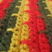 Crochet wool rasta scarf for men and women