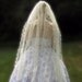 Lace Fingertip Veil, Ivory Wedding Veil, Chantilly Lace