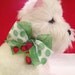 Dog Collar Summer Strawberries