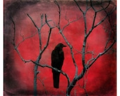 Red metallic, crow picture, Gothic decor, Gothic crow, crimson, blackbird, gothic art - Red Vision - gothicrow
