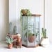 Large Vintage Etched Glass Geometric Terrarium