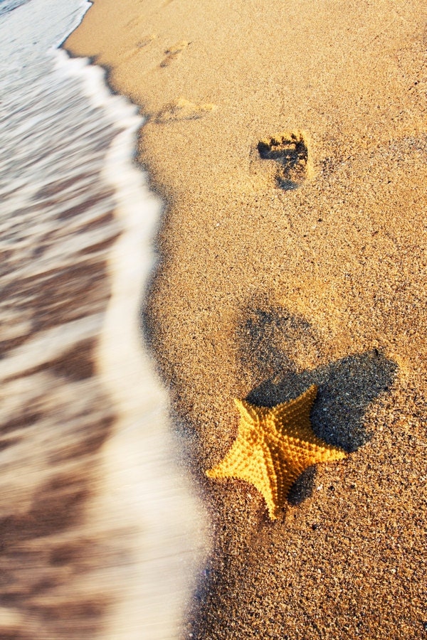 Summer romantic photograph, Starfish and sand footprints, Beach sand and waves, Shark, Beach Print 8x10 or 8x12 - stoevvalentin
