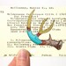Antler painted on Library Card - southwest, tribal, geometric, deer antler with gold, turquoise, burnt sienna