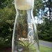 Vintage Pyrex Glass Pitcher 32 oz.Glass and Gold Flower Pitcher Decanter